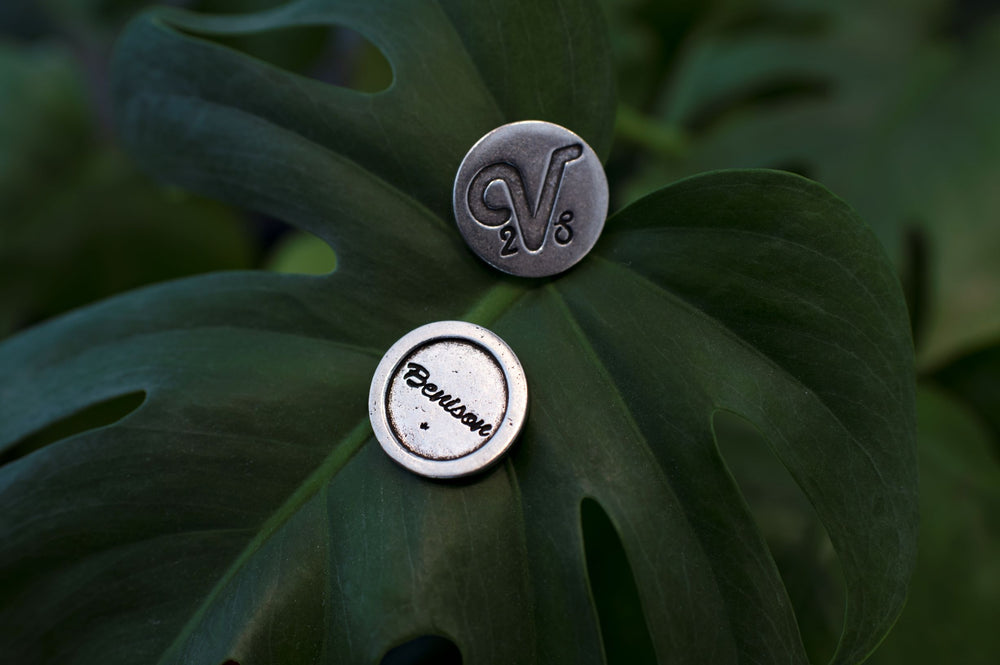 VV Blessing Coin